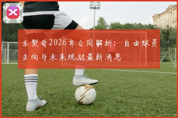 东契奇2026年合同解析:自由球员去向与未来规划最新消息