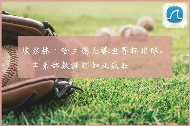埃尔林·哈兰德无缘世界杯进球，俱乐部数据却如此疯狂